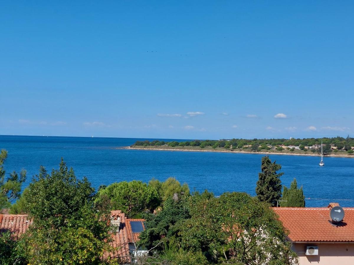 Apartments Henc Novigrad Istria Exterior foto