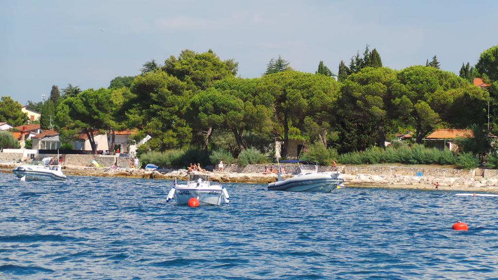 Apartments Henc Novigrad Istria Habitación foto