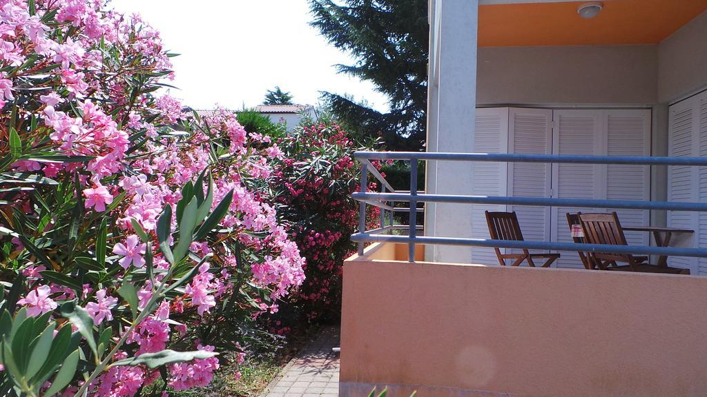 Apartments Henc Novigrad Istria Habitación foto