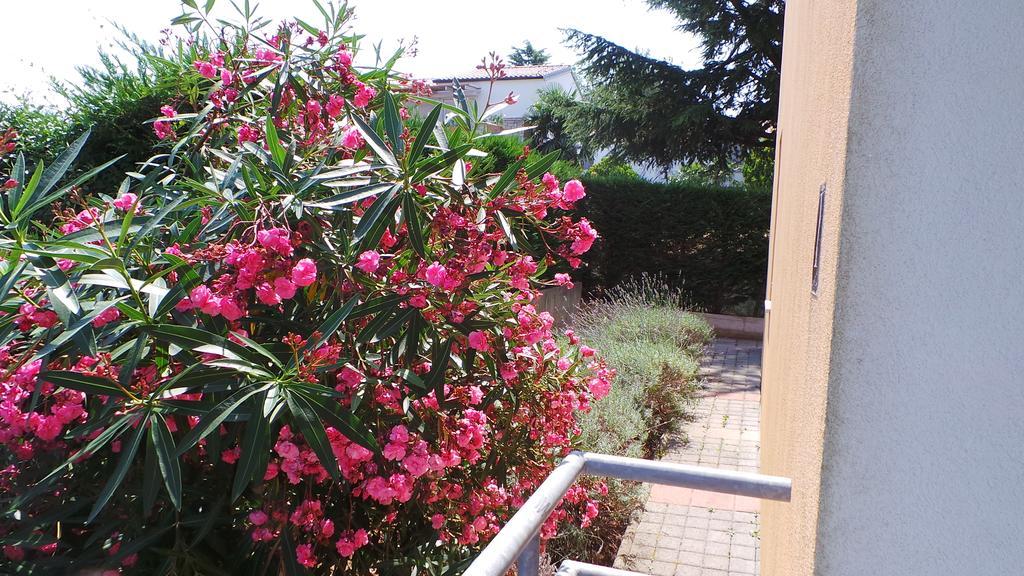 Apartments Henc Novigrad Istria Exterior foto