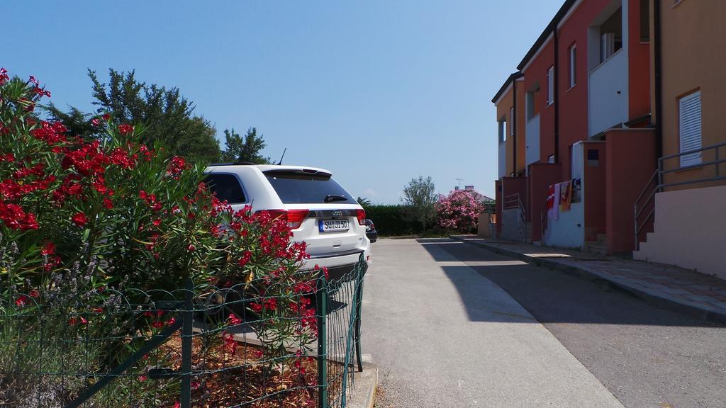 Apartments Henc Novigrad Istria Exterior foto