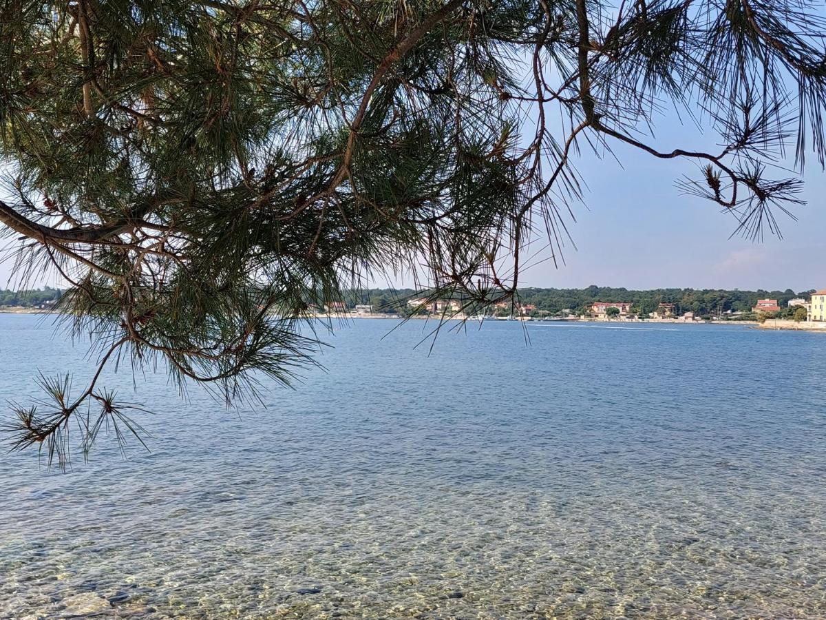 Apartments Henc Novigrad Istria Exterior foto