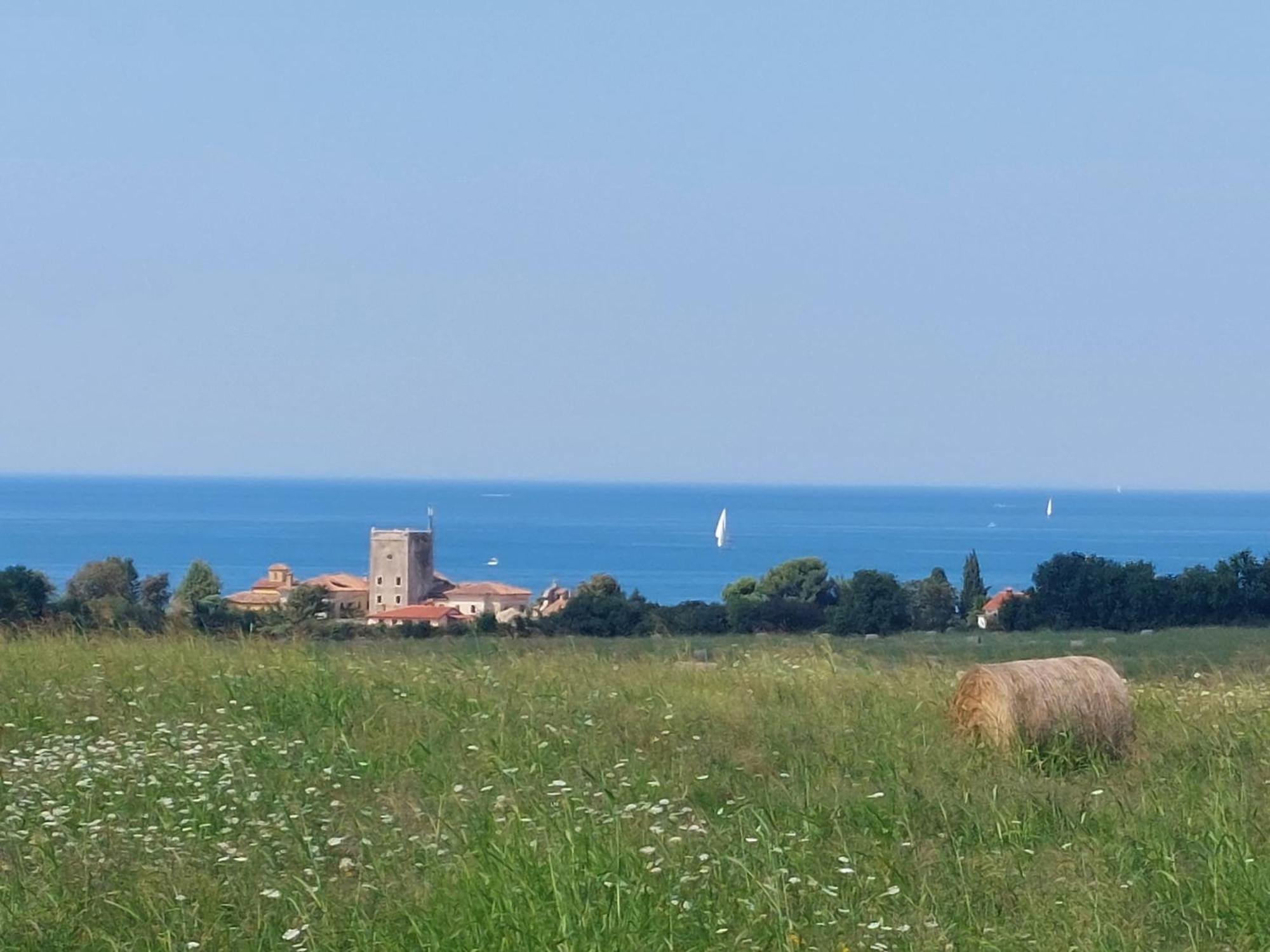 Apartments Henc Novigrad Istria Exterior foto