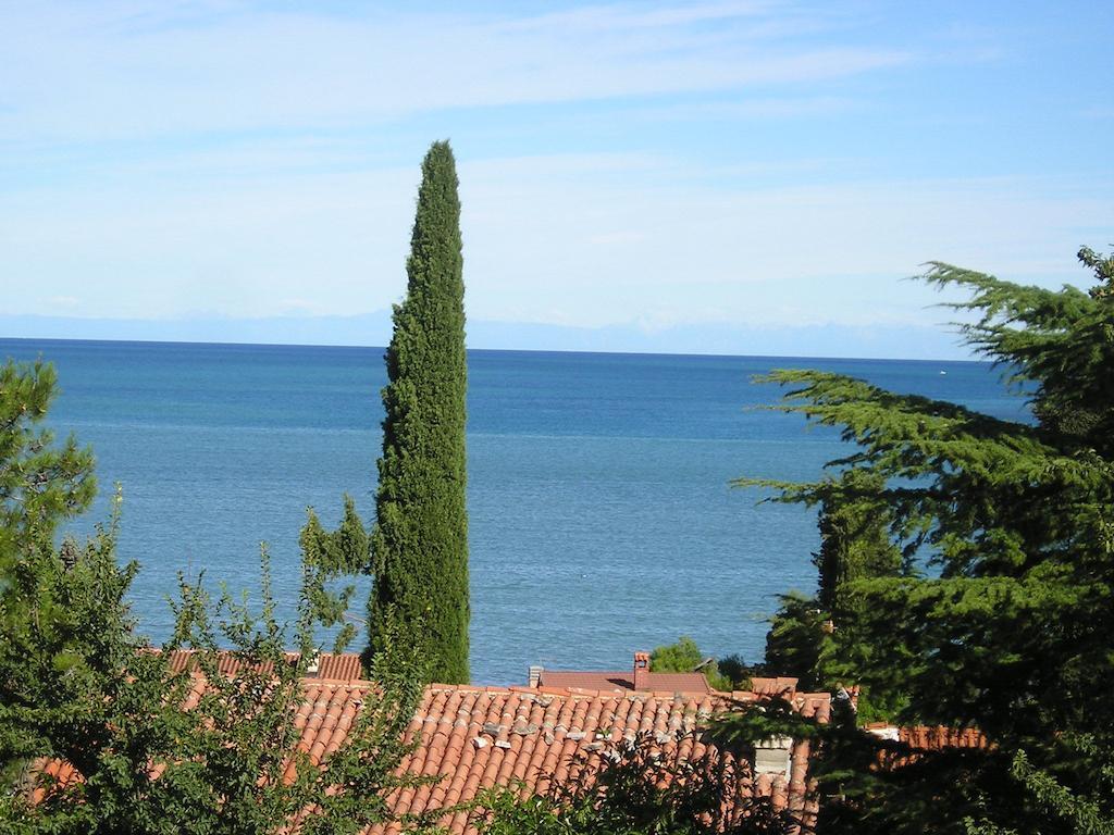 Apartments Henc Novigrad Istria Habitación foto